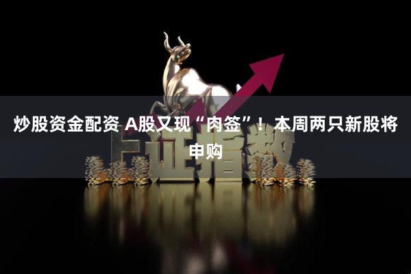 炒股资金配资 A股又现“肉签”！本周两只新股将申购